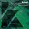 Heavy Hitter - Tomi&Kesh & Cosmin Horatiu lyrics