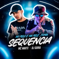 No pelo e na Pele, Toma Sequencia - Single - DJ Guina & Mc Marte