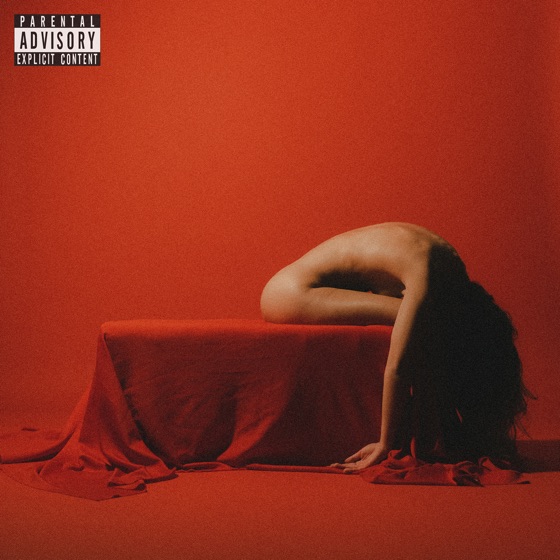 Cover artwork for ARTIFICIAL SUICIDE