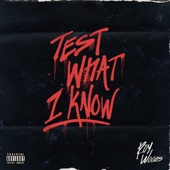 Test What I Know artwork