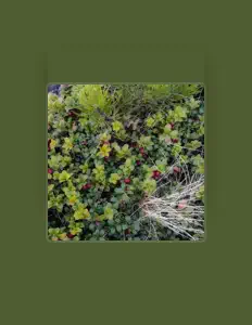 Listen to Unrealistic, watch music videos, read bio, see tour dates & more!