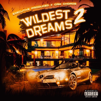 Wildest Dreams 2