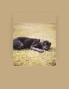 Marley Baxterを聴いたり、ミュージックビデオを鑑賞したり、経歴やツアー日程などを確認したりしましょう！