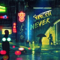 Never - Single - SubDocta