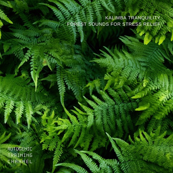 Kalimba Tranquility: Forest Sounds for Stress Relief