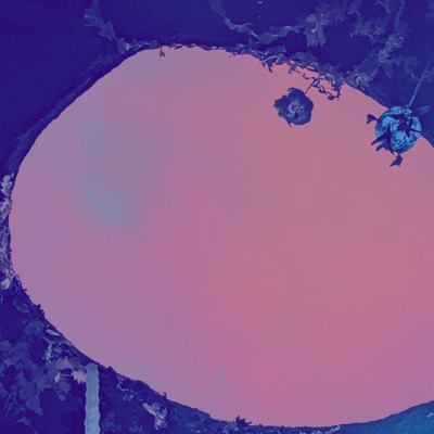 Blue Label / Disfrute - Single
