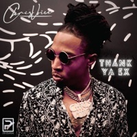 Thank Ya Ex - Single - Chris Voice