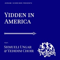 Yidden In America (feat. Yedidim Choir) - Single - Freilach Band & Shmueli Ungar