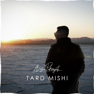Tard Mishi - Single