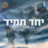 יחד תמיד artwork