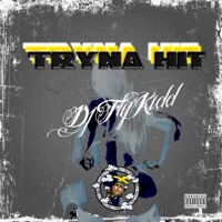 Tryna Hit (feat. Young Slick p) - Single - Djflykidd