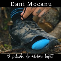 O Pereche De Adidasi Rupti - Single - Dani Mocanu