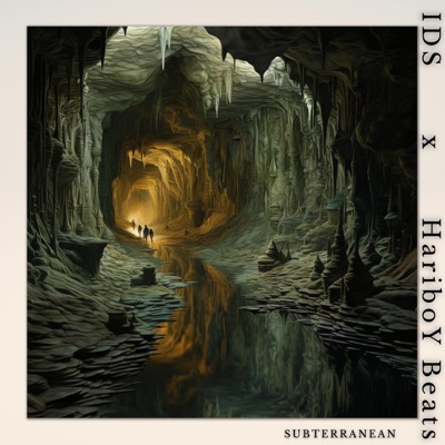 Subterranean (feat. IDS) - Single