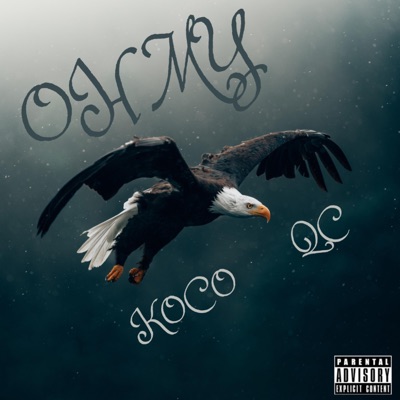 Oh My (feat. QC) - Single