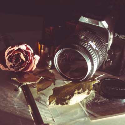 Roses & Photos