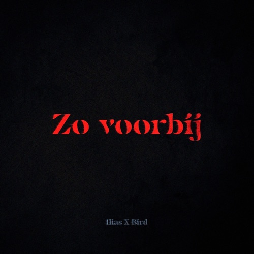 Zo Voorbij (feat. Bird) - Single