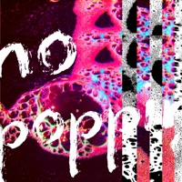 no popping - Single - DIGGIN