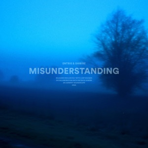 Misunderstanding