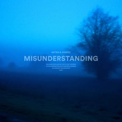 Misunderstanding - Single