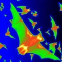 Thoroughly Examined - Single - Crocc