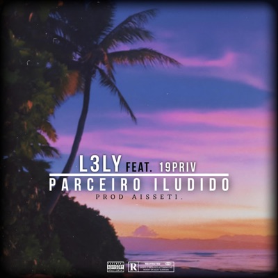 Parceiro Iludido - Single