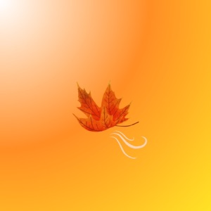 Hello Fall - Single