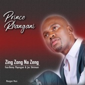 Zing Zong Na Zeng (feat. Benny mayenganI & Dr Joe Shirimani) artwork