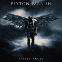 Fallen Angel - Single - Peyton Parrish
