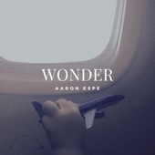 Aaron Espe - Wonder