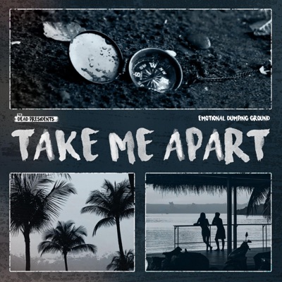 Take Me Apart - Single