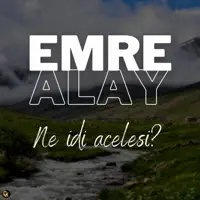 Ne idi Acelesi — Emre Alay