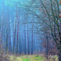 Magic (feat. Whyage) - Single - Näppen