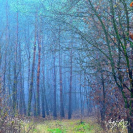 Magic (feat. Whyage) Näppen