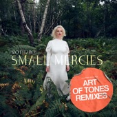 Small Mercies (Art Of Tones Remix) artwork