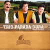 Coleção de Ouro da Música Sertaneja: Trio Parada Dura (Grandes Sucessos)