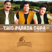 Telefone Mudo - Trio Parada Dura