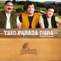 Coleção de Ouro da Música Sertaneja: Trio Parada Dura (Grandes Sucessos) - Trio Parada Dura