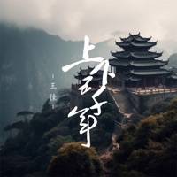 上下五千年 - Single - Wang Jia