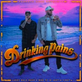 Drinking Pains (feat. Larry Dale Reed) artwork