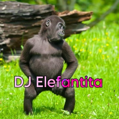 Dj Elefante - El bahile de los Simio
