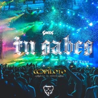 Tu Sabes (feat. Adam Banx) [Guaracha Remix] - Single - Santos Jaguar