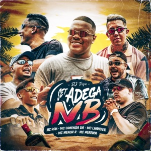 Set Adega Nb (feat. Mc Pereira, Menor R & Mc Lhanovic)