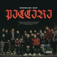 Piccirì (feat. Saw Official & Mighty Boy) - Single