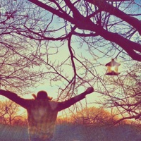 Bad Choices Good Stories - LAC