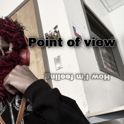 Point of View