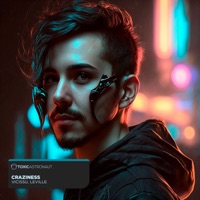 Craziness - Single - Vicissu & Leville