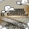 Vamos Poniéndonos El Sombrero - Single