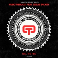 Feel the Fire (feat. Leslie Sackey) - Single - Fabio Pierucci