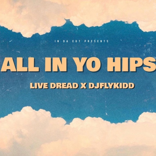 All IN YO HIPS (feat. DJFLYKIDD)