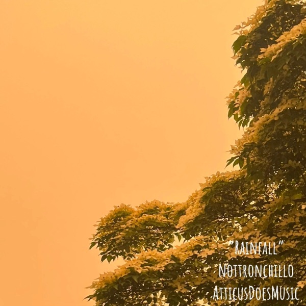 Rainfall (feat. AtticusDoesMusic)